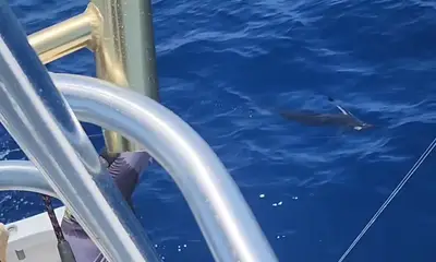 Key West Report Video 0