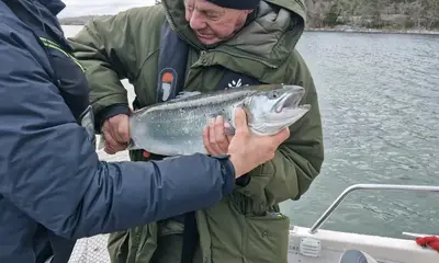 Sweden Report Video 2