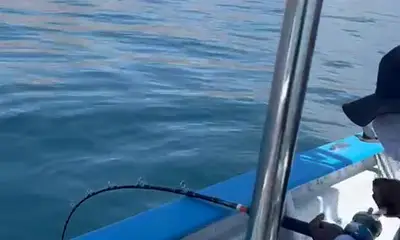 Bahía de los Ángeles Report Video 0