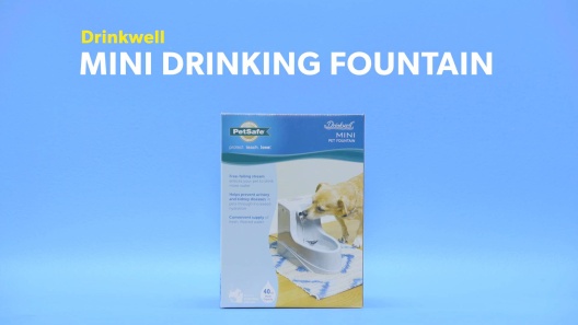 Play Video: Learn More About Drinkwell From Our Team of Experts