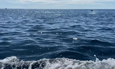 Playa Flamingo Report Video 0