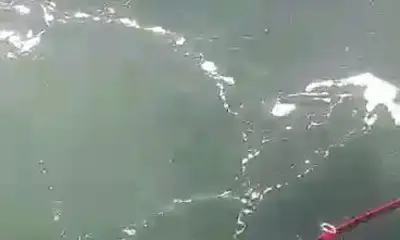 Jacksonville Report Video 0