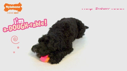 Nylabone Gourmet Style Strong Stick Peanut Butter Dog Chew Toy