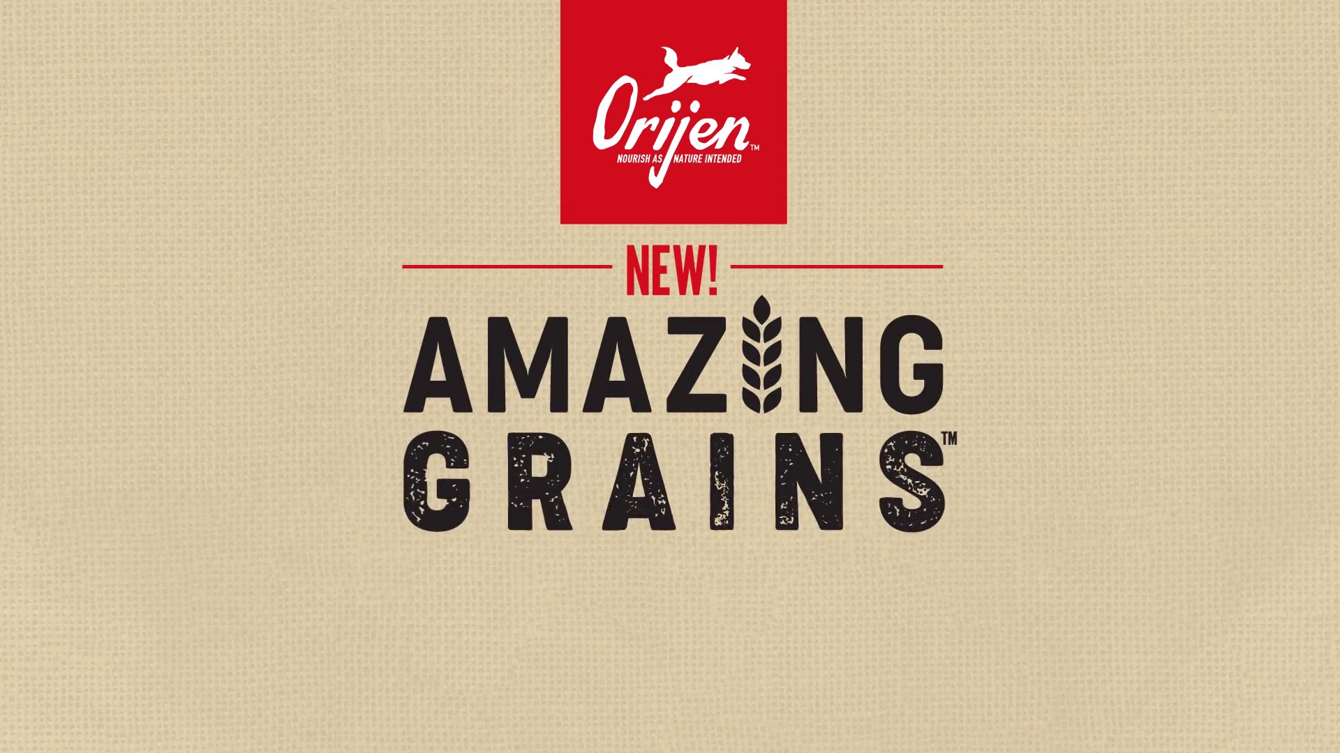 ORIJEN Amazing Grains Original Dry Dog Food 4 lb bag Chewy