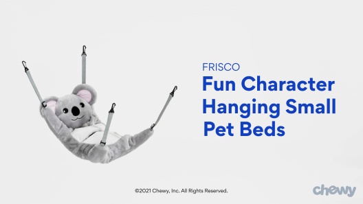 Play Video: Learn More About Frisco From Our Team of Experts
