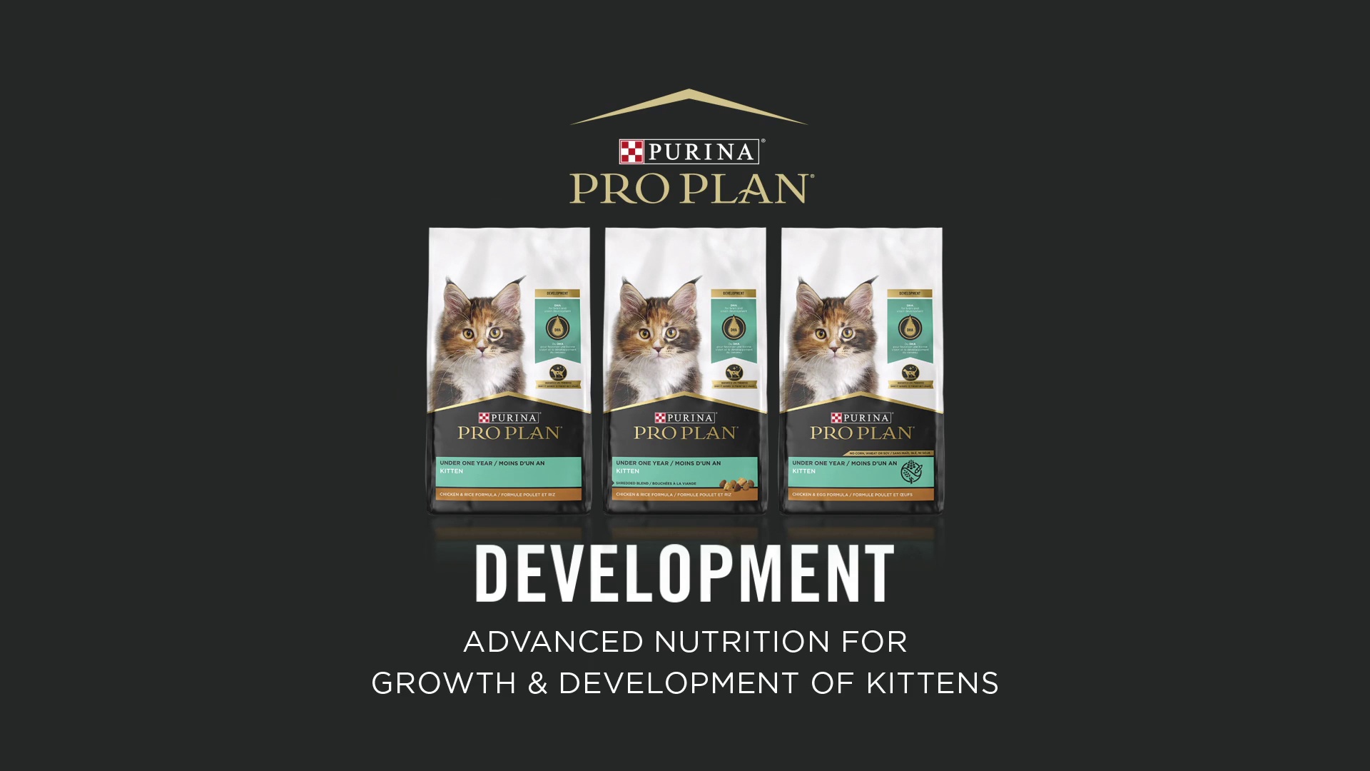 Purina pro plan hot sale dry kitten food