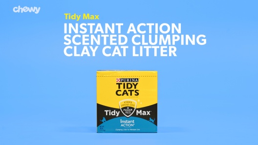 Play Video: Learn More About Tidy Max From Our Team of Experts
