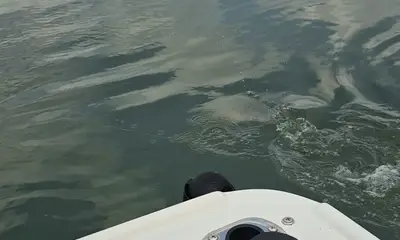 Hilton Head Island Report Video 0