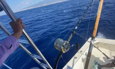Best out of Three