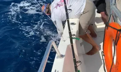 Herradura Report Video 0