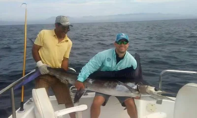 Cabo San Lucas Report Video 0