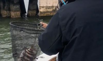 Biloxi Report Video 0