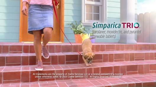 Play Video: Learn More About Simparica Trio From Our Team of Experts