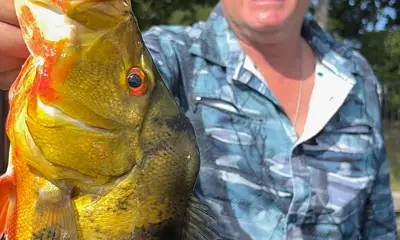 Lake Worth Report Video 0