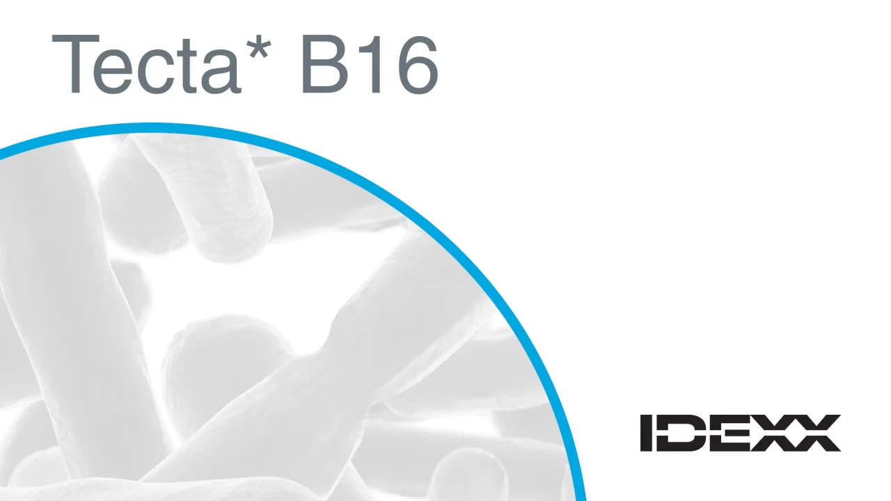 IDEXX Tecta - Automated Water Microbiology Testing System - IDEXX US