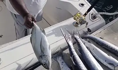 Osbourn Report Video 0
