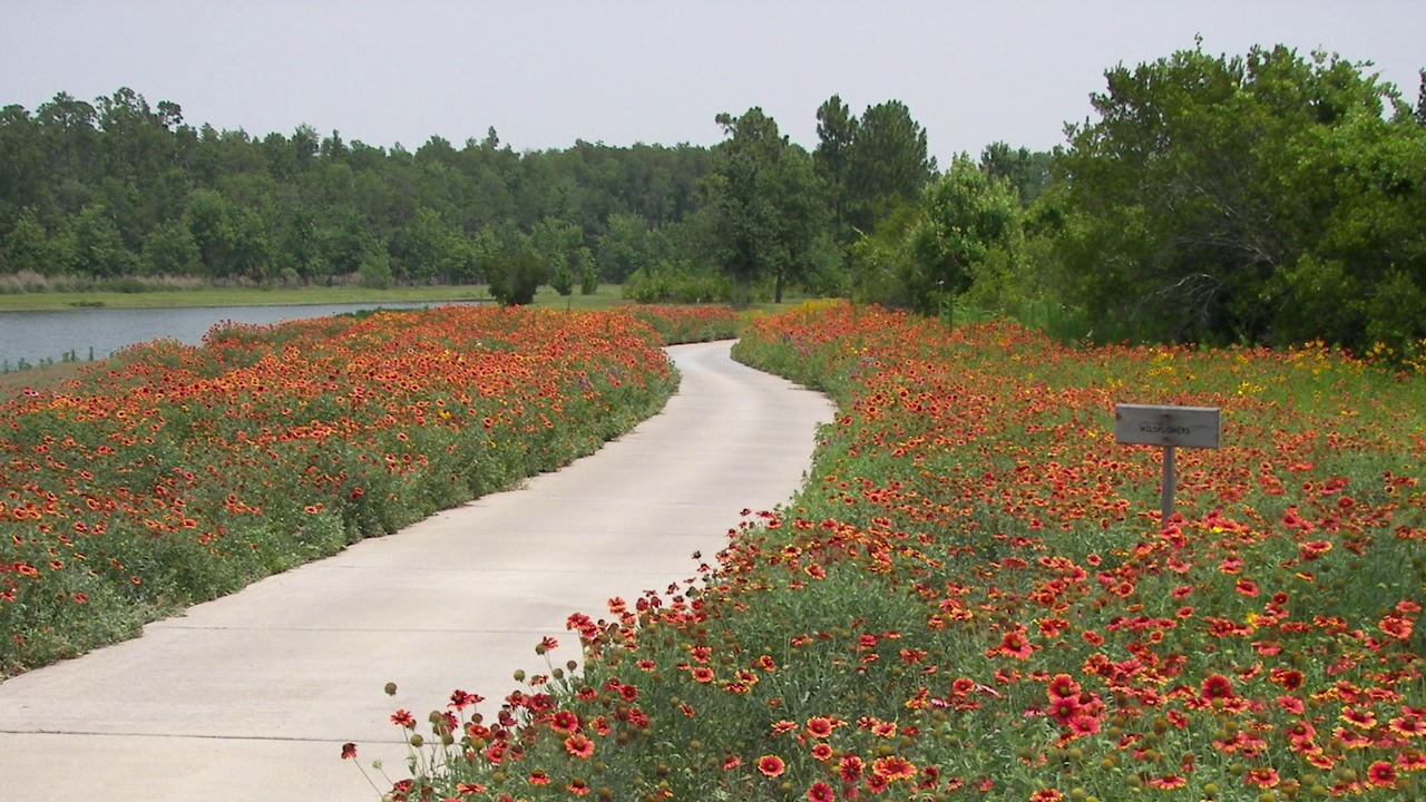 Flower seed online blankets