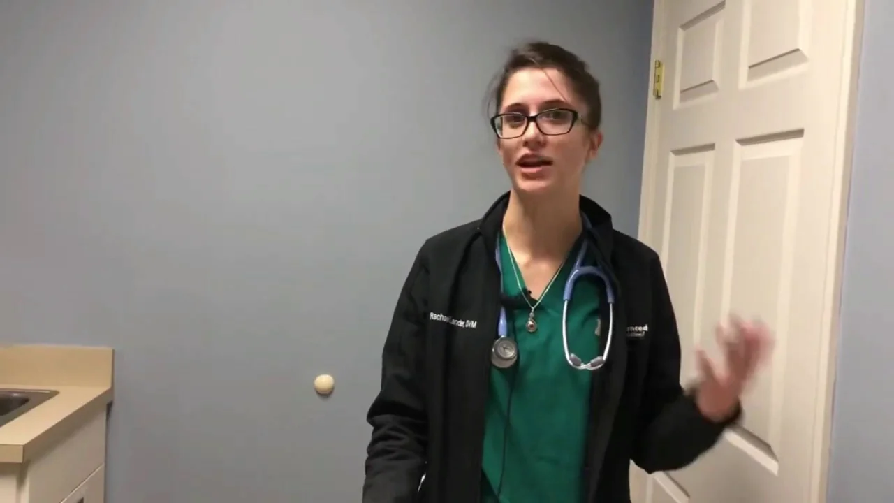 Does My Dog Need A Heartworm Test Every Year