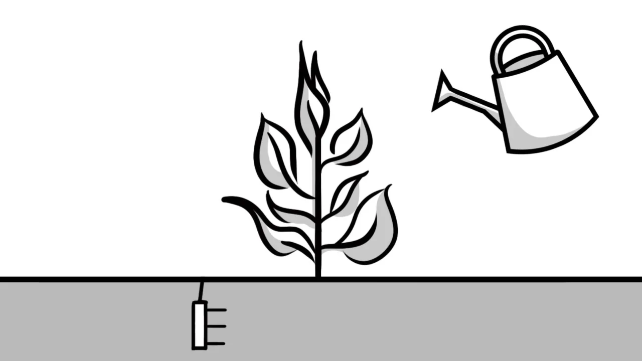 土壌水分による灌漑管理の完全ガイドMETER Group