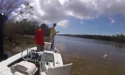 Everglades City Report Video 0