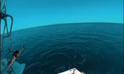 Tavira Video Report 0