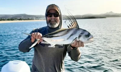 San Jose del Cabo Report Video 0