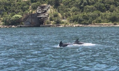 Best boat trip!