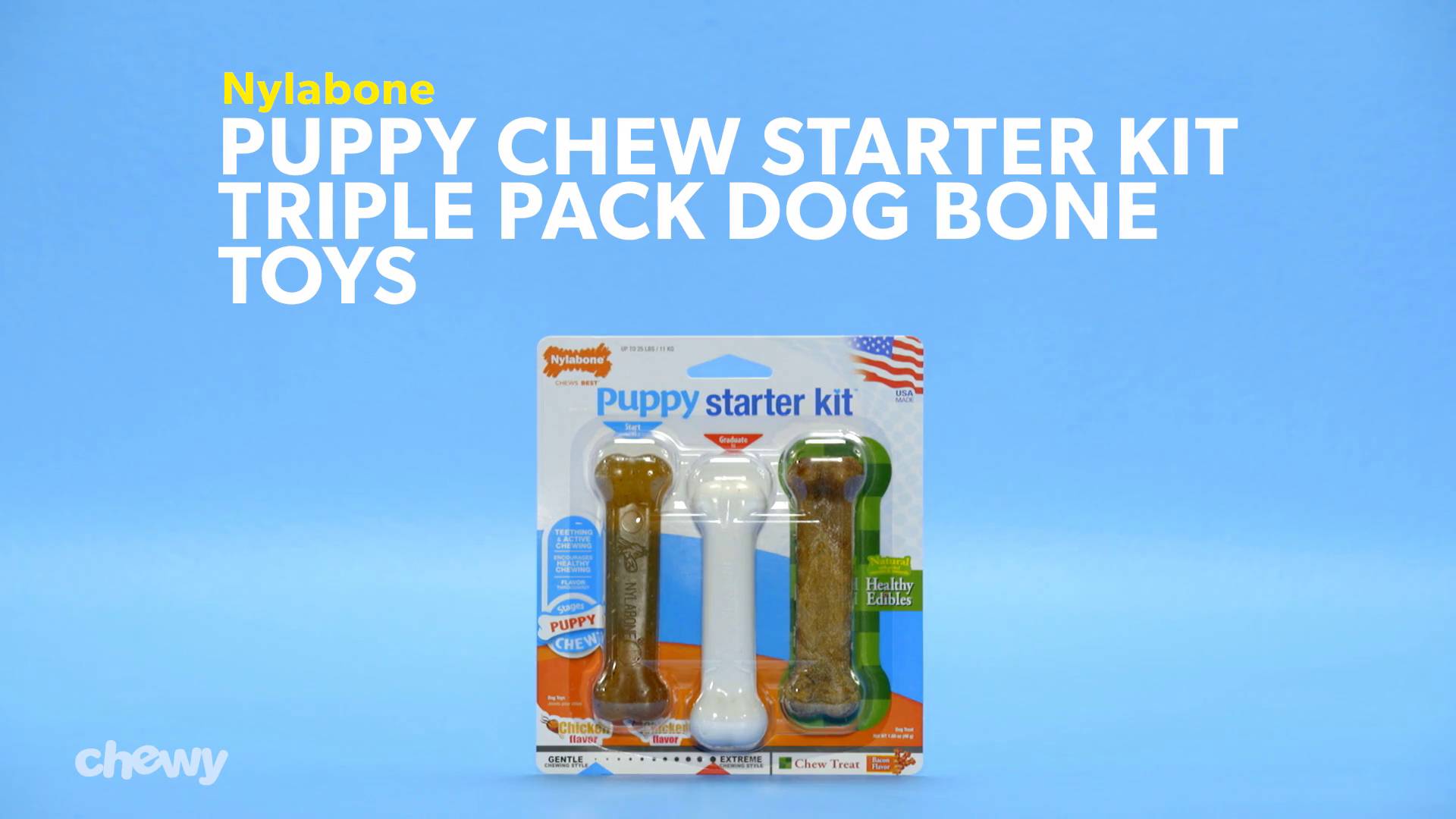 Nylabone puppy outlet starter kit