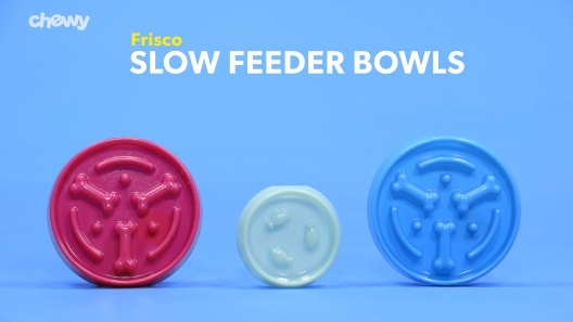 Messy Mutts Blue 3 Cup Interactive Slow Feeder