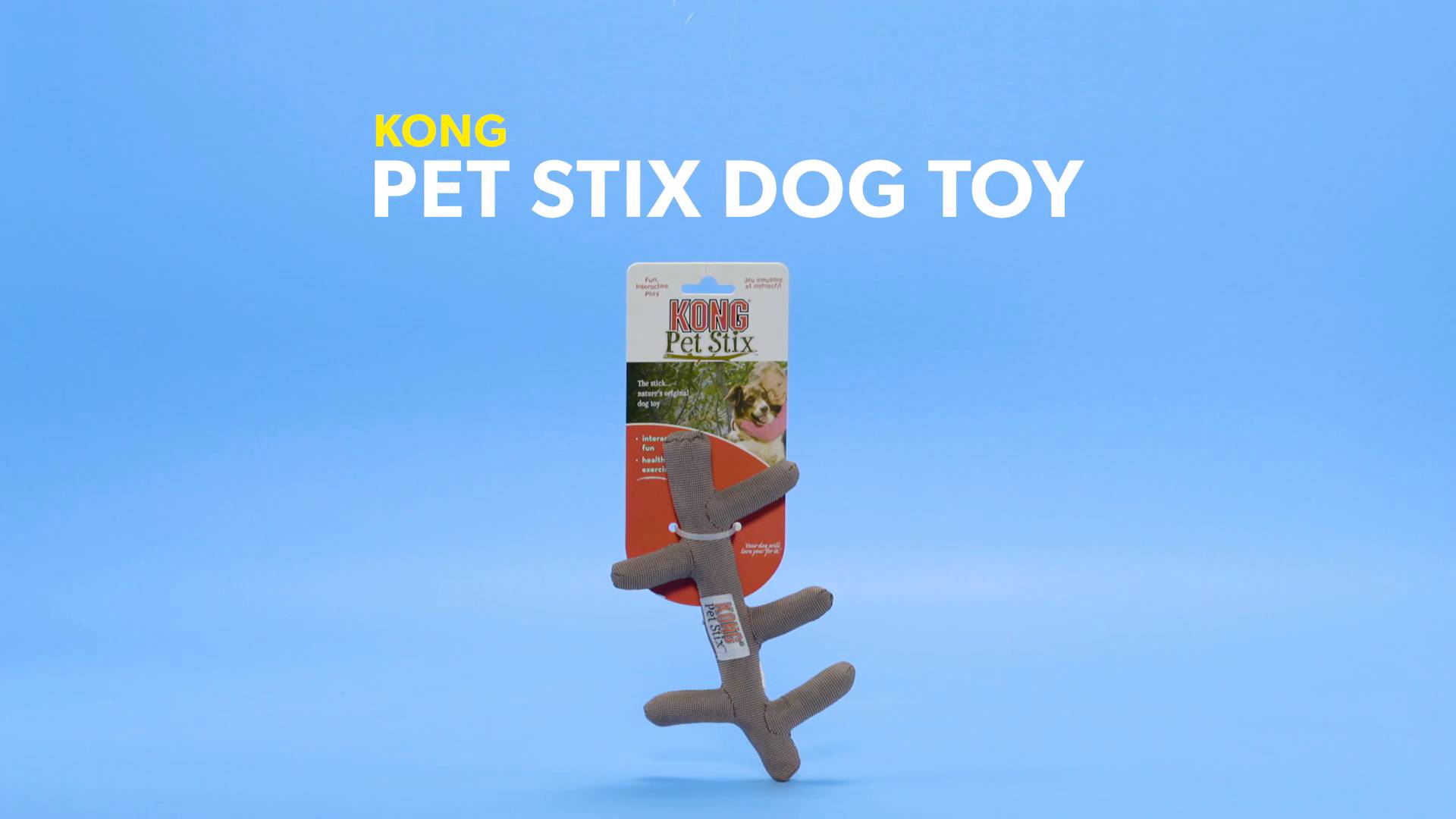 kong pet stix dog toy