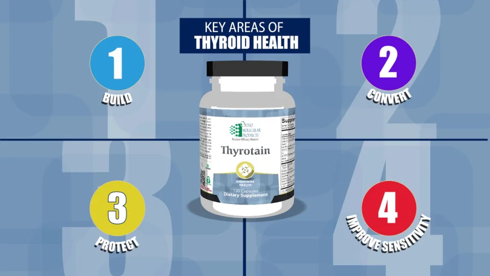 OMPI Thyrotain