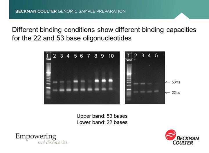 Scientific Videos Beckman Coulter