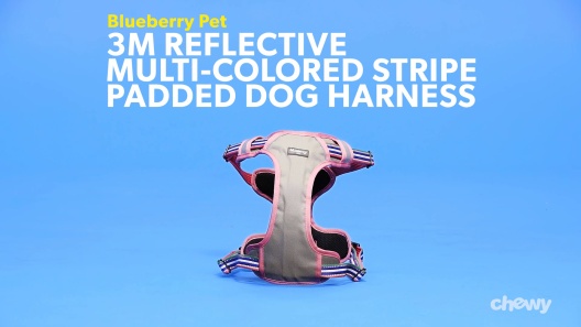 Blueberry Pet Zesty Fruit Dog Harness Vest