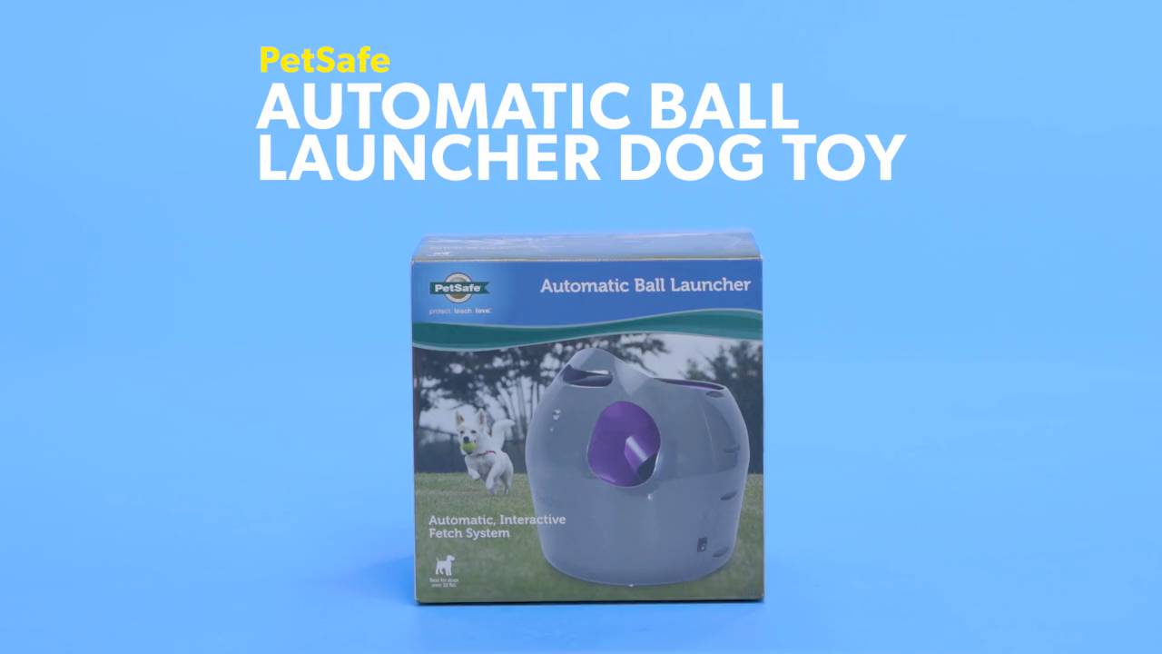 Petsafe dog ball outlet launcher