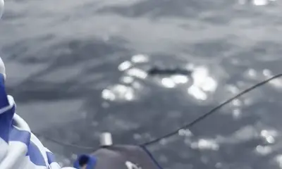 Shark Fishing 