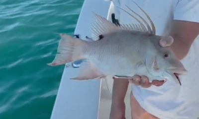 Key Largo Report Video 0