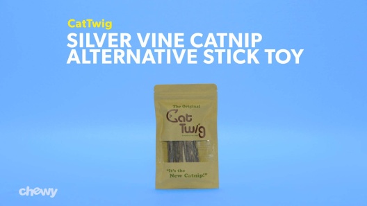 Play Video: Learn More About CatTwig From Our Team of Experts