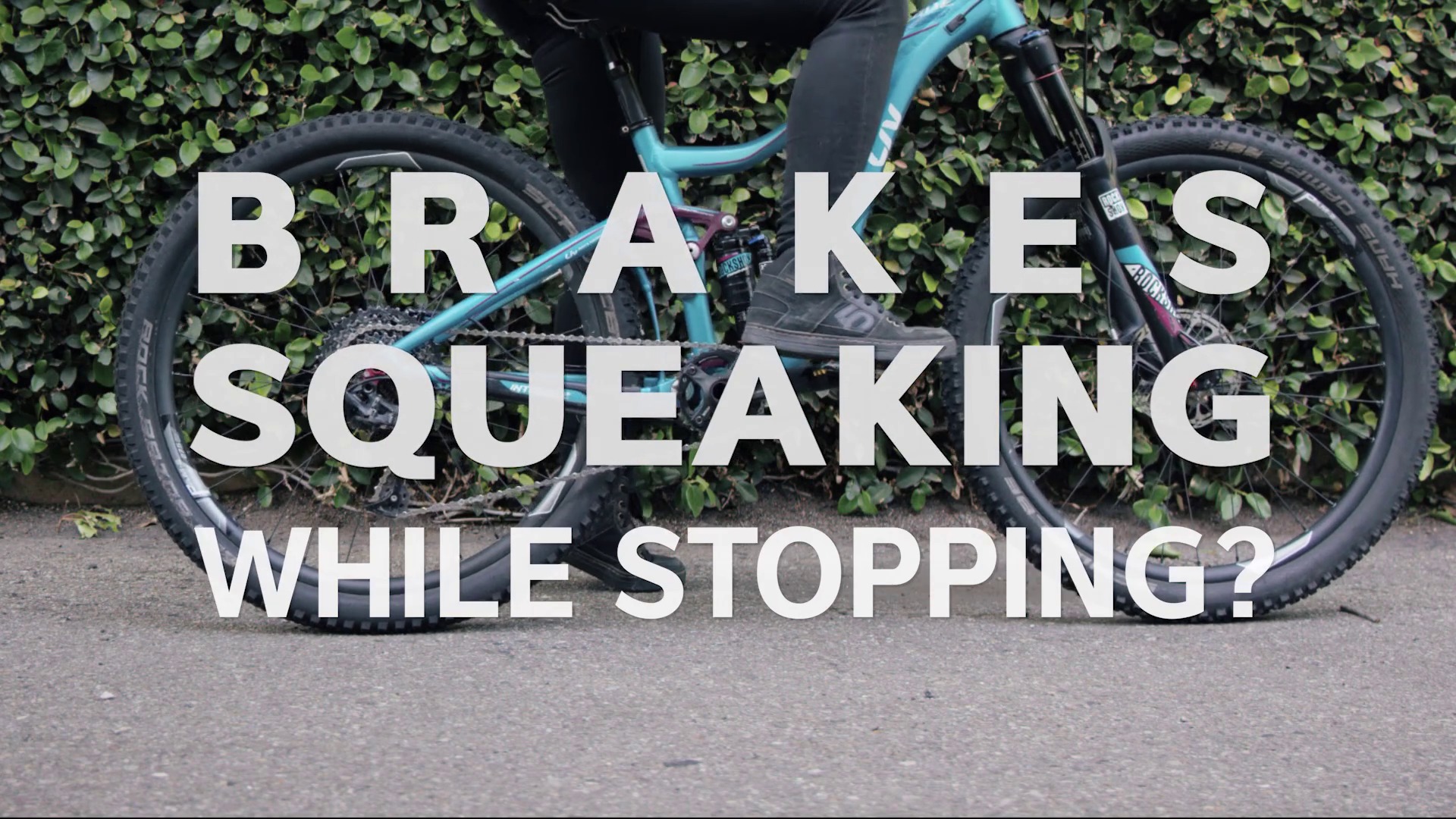 squeaky disc brakes mountain bike