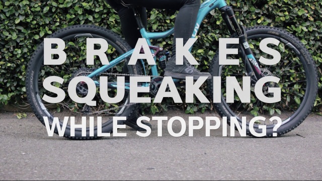 How to stop bike brakes from squeaking (step by step) - Cycle Savvy