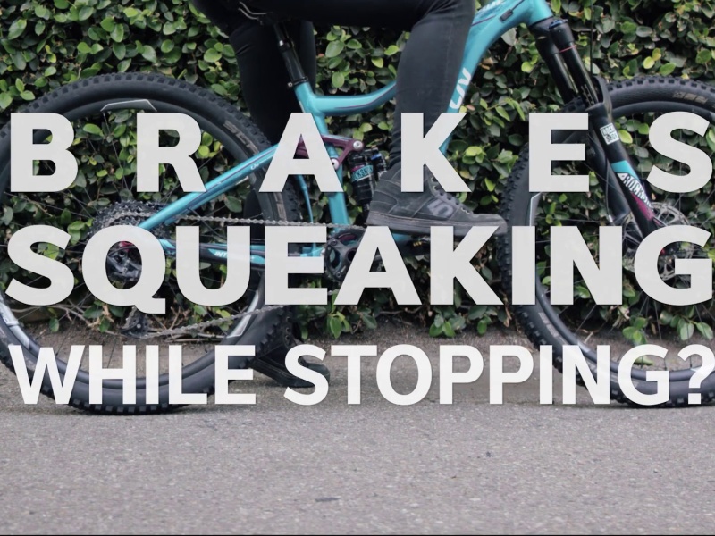 How to Fix Bike Brakes | Squeaking Brakes | Liv Cycling Official site
