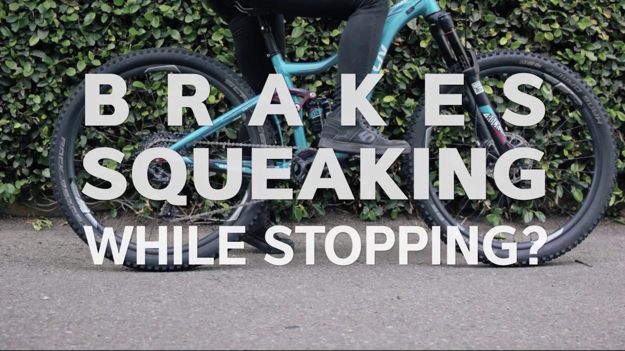 Bicycle disk 2024 brake squeaking