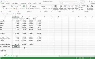 Introduction to Spreadsheets - Subtraction, Multiplication and Division ...