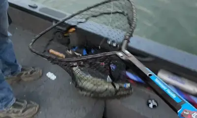 Caught targeted species and had a great time