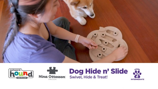 Outward Hound Hide N' Slide Dog Treat Puzzle Toy - Feeders Pet Supply