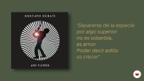 Lesson image