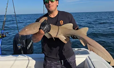 Georgia Report Video 2