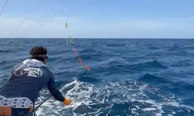 Guanacaste Report Video 1