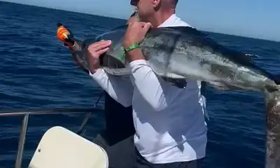 Mexico Report Video 2