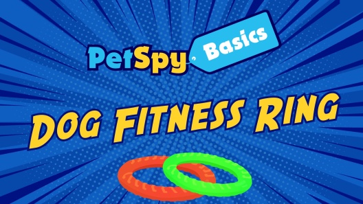 Dog Ring Toy: dog training toy & training ring – Petspy ring for