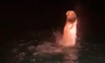 Miami Bericht Video 1
